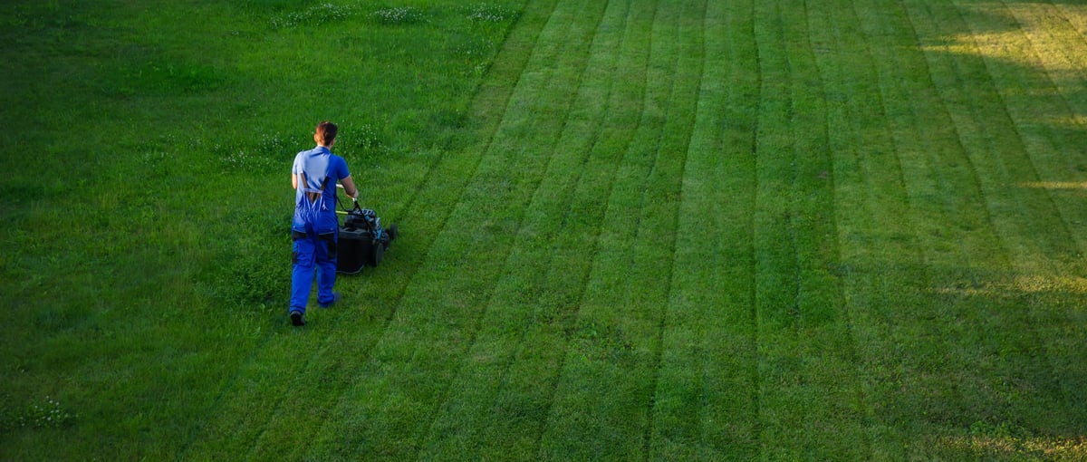 Professional lawn mowing service in Kokomo Indiana