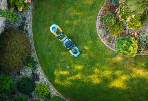 Landscaping design project