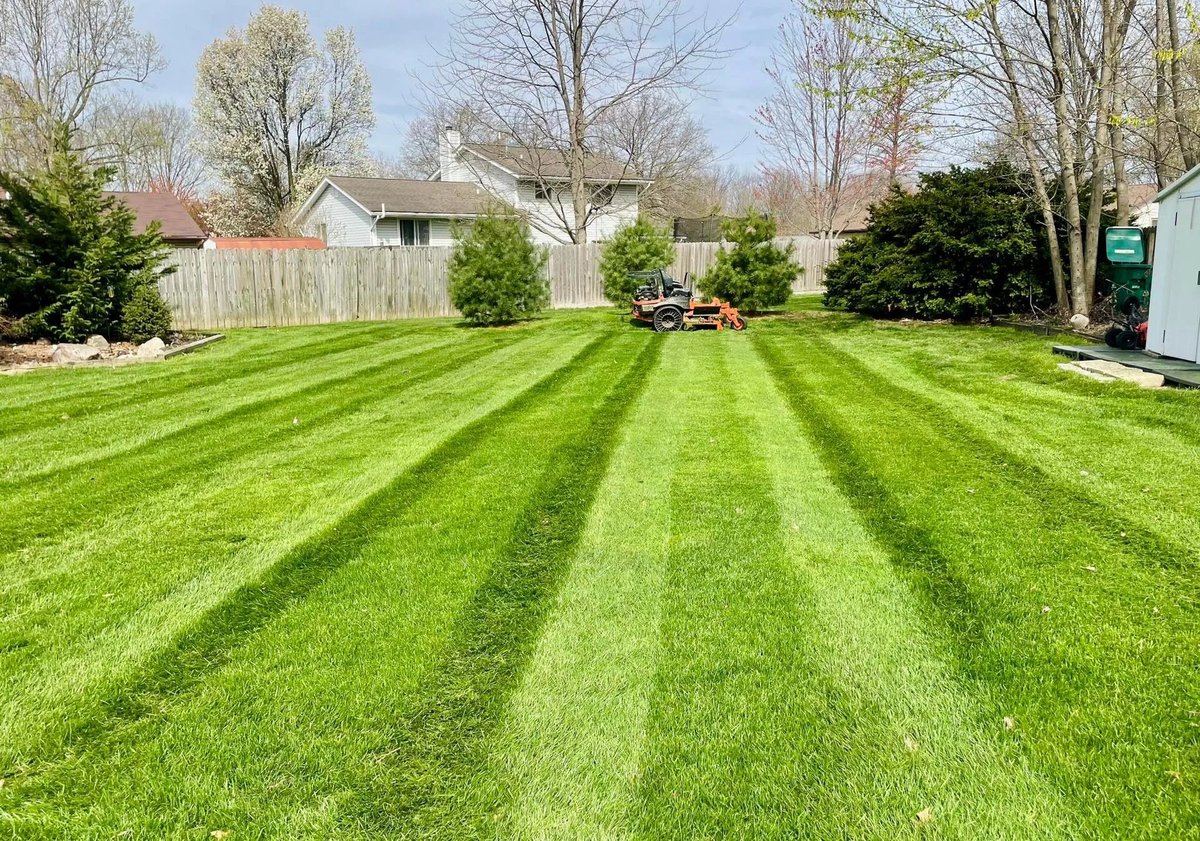 Professional lawn care and mowing service