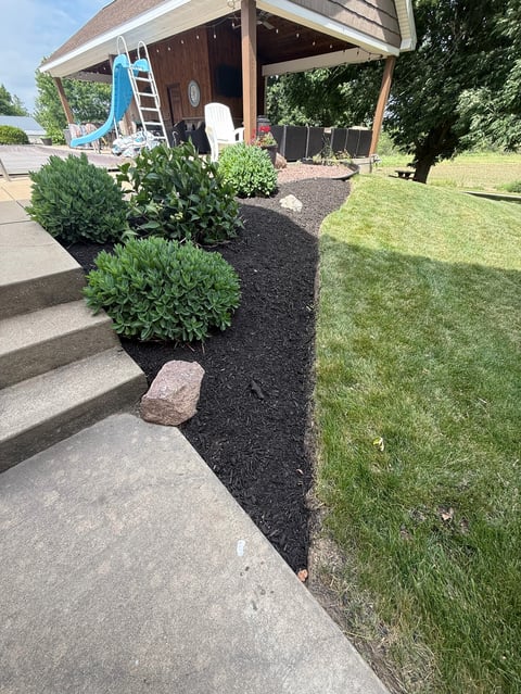 Backyard landscape with black mulch pathway, rounded green shrubs, manicured lawn, and wooden pergola structure with slide and seating area