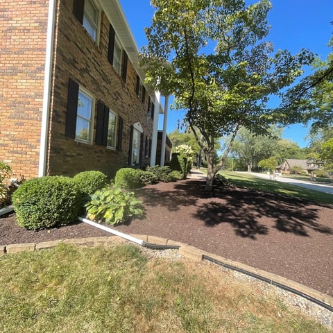 Front exterior of a brick house with manicured landscaping, including green shrubs, mulch, and lawn on a sunny day