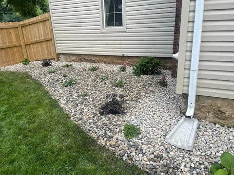 Backyard with white siding house, wooden fence, gravel landscaping with small green plants, and lawn grass