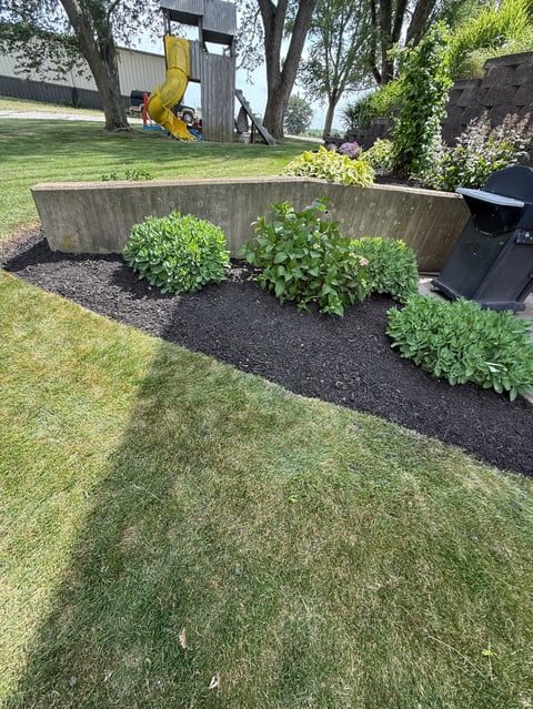 Backyard playground with curved concrete planter bed containing green shrubs, manicured lawn, and yellow slide structure among trees