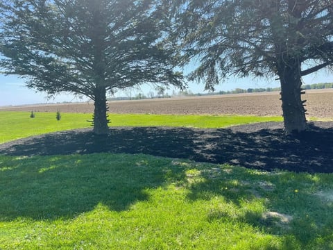 Large shade trees casting shadows on green grass with agricultural fields visible in the background under blue sky