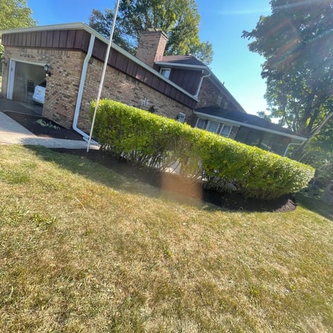 Modern brick house with angled roof, green hedges, and lawn in sunny setting with trees in background