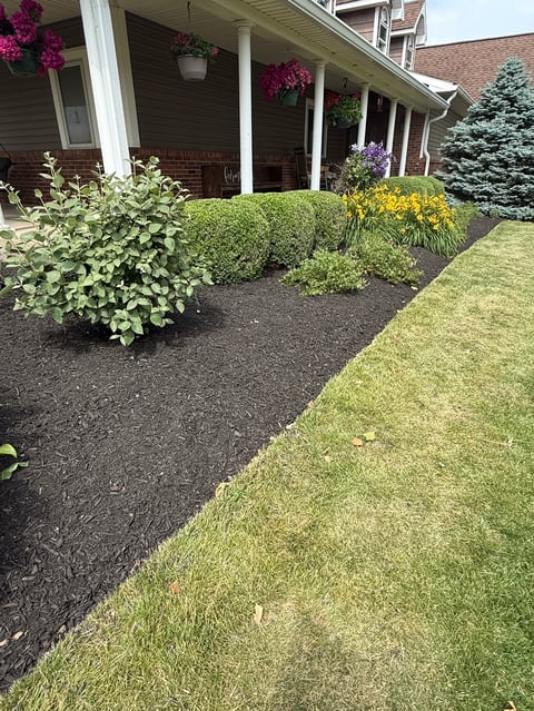 Front yard with dark mulch landscaping, green shrubs, yellow flowers, and manicured lawn beside a brick house with white porch columns and hanging flowers.
